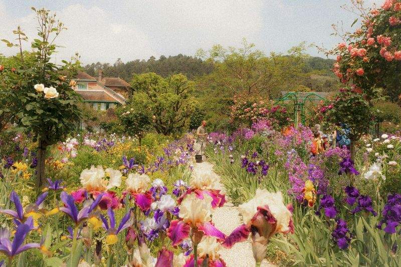 季節の花苗を長く楽しむためのお手入れ習慣